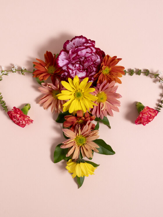 L’Effet de la Ménopause sur le Corps