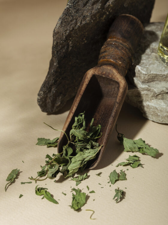 Phytothérapie Ménopause